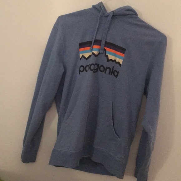 Patagonia Other - Patagonia blue hoodie